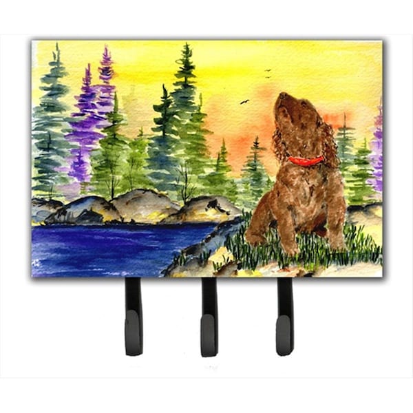 Carolines Treasures American Water Spaniel Leash Holder or Key Hook SS8509TH68 - main